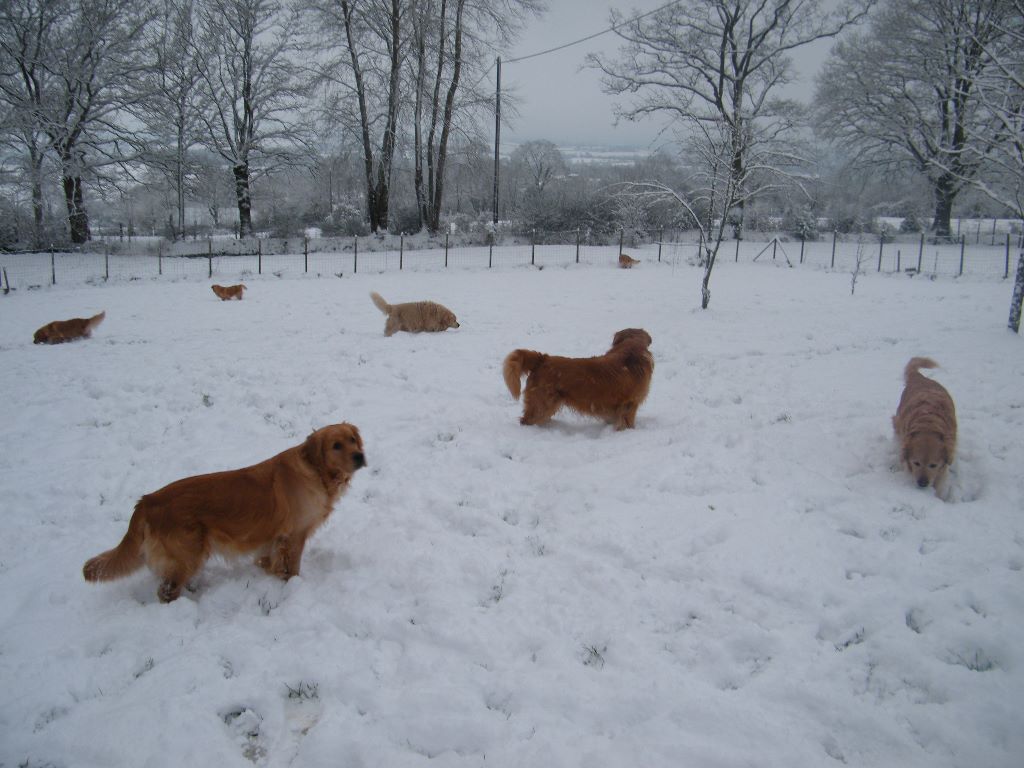 de la vallée Morgane - La neige