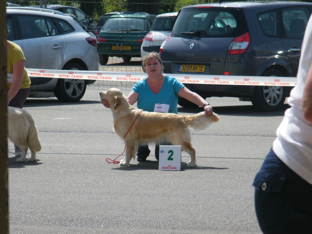 Elsa dite bess de la vallée Morgane