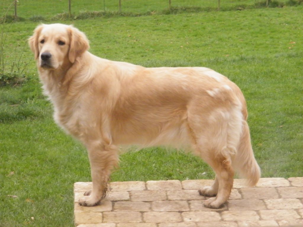 Indiana jayne dite jayne de la vallée Morgane