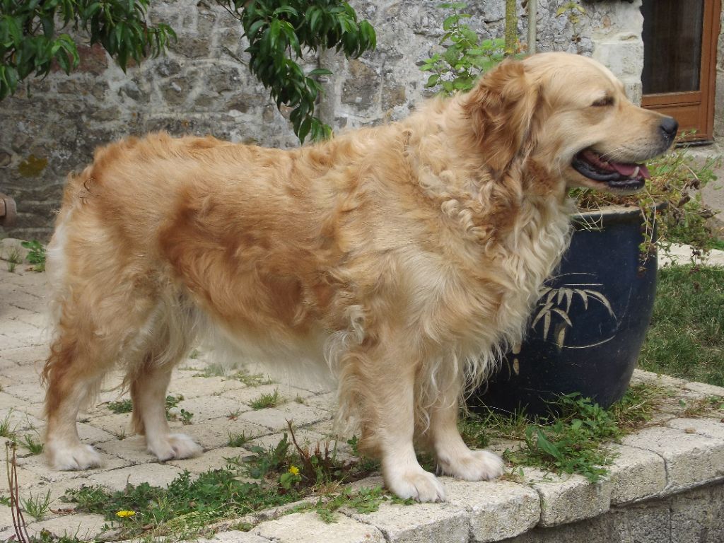 Mary-greace de la vallée Morgane