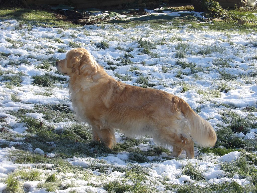Princess of kingdom dite megg de la vallée Morgane