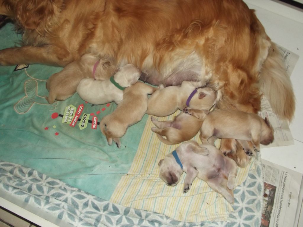 de la vallée Morgane - Photo du soir bébés Léna 7 jours