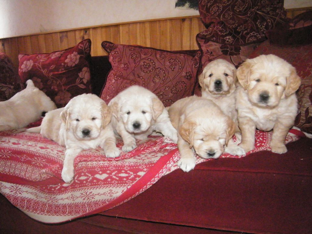 de la vallée Morgane - bébés de Jayne 