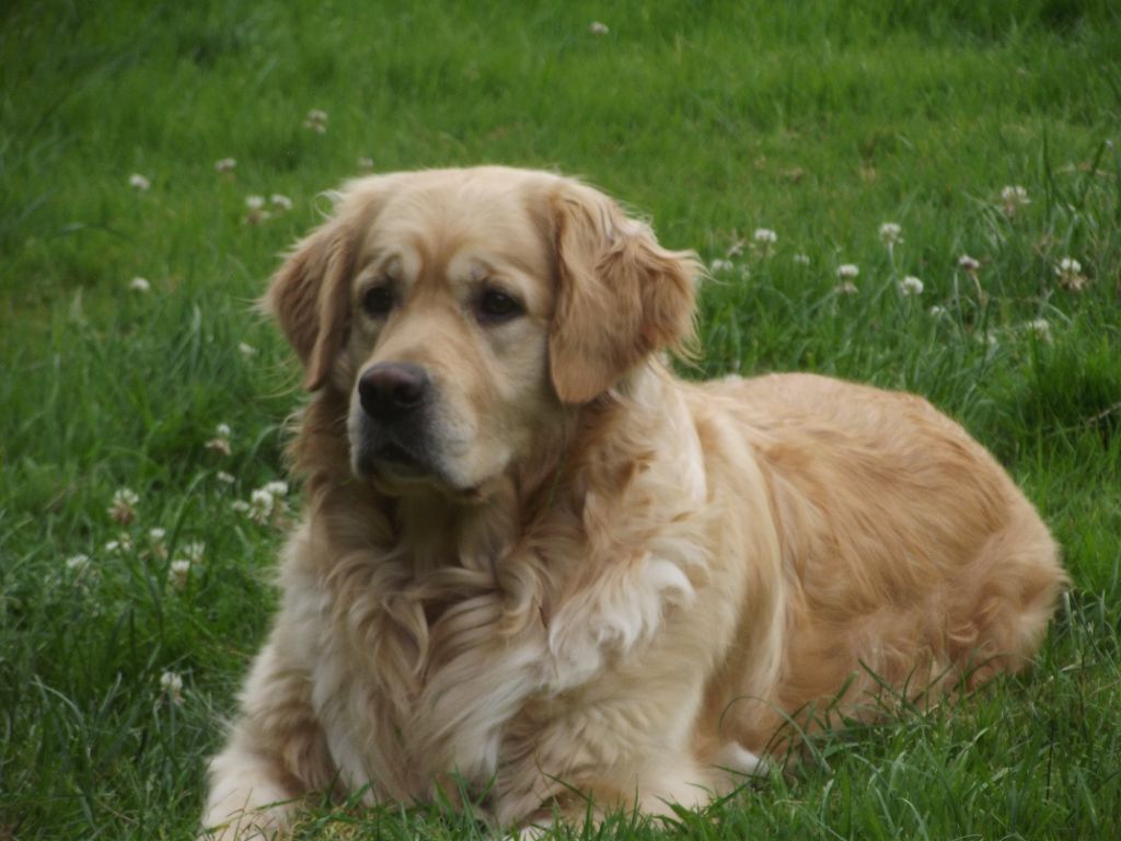 de la vallée Morgane - Princess of Kingdom de Vallée Morgane