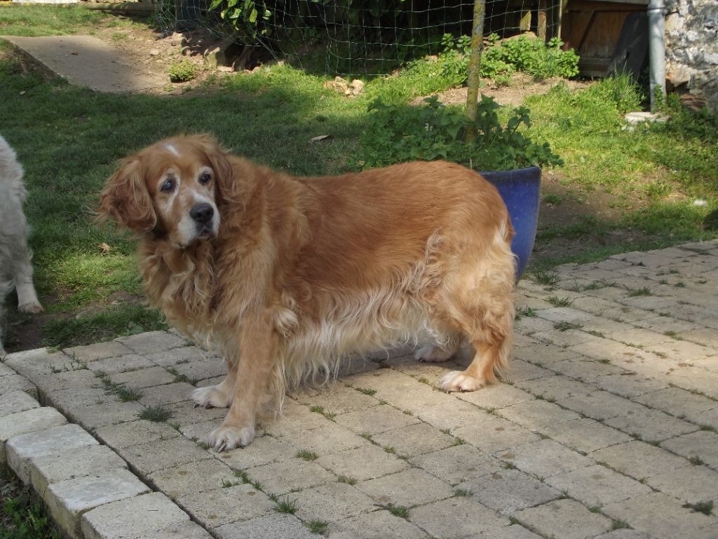 de la vallée Morgane - Anniversaire de notre Doyenne Colomba