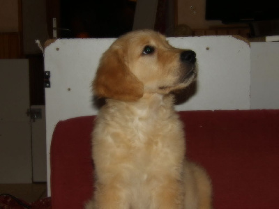 U'Charly
