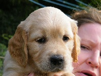 Loona de la Vallée Morgane