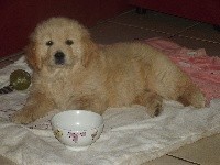Rudy