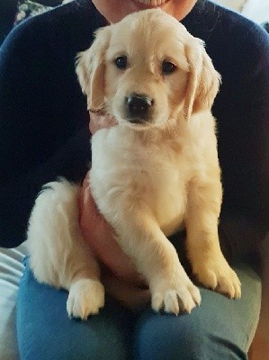 Sharly