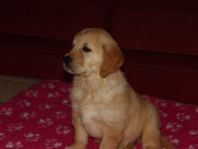 Athos
