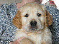 Marley (prince blanc )