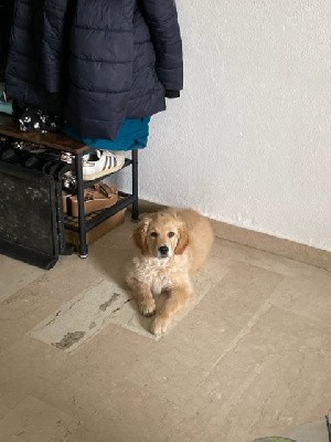 Spera